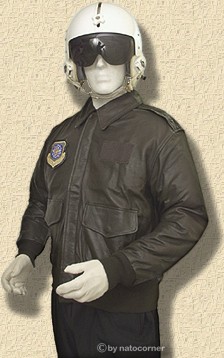 A2 Fliegerjacke, sieht genial aus, ist genial
