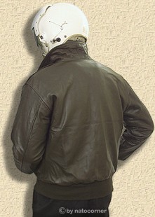 A2 Pilotenjacke - dieser Rücken kann entzücken