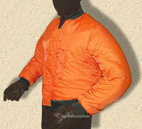 ma1orangevo215x188sk9.jpg (9360 Byte)