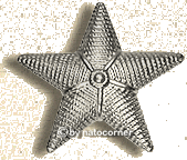 Abzeichen KaLeu in gold - Stiftverschluss, orig. dt.Marine
