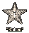 KaLeu -Seestern- Abzeichen