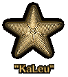KaLeu -Seestern- Abzeichen