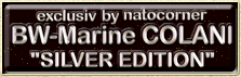 silberne Metallknöpfe für den Marinecolani - exclusiv bei natocorner