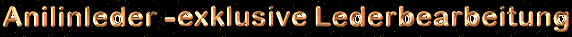 fr das Beste, natrlich nur das Beste....exklusives Leder u. exklusive Verarbeitung..