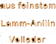 die anspruchvollste Art der Lederverarbeitung...Anilinleder..