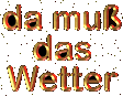 wird mit jedem Wetter fertig....